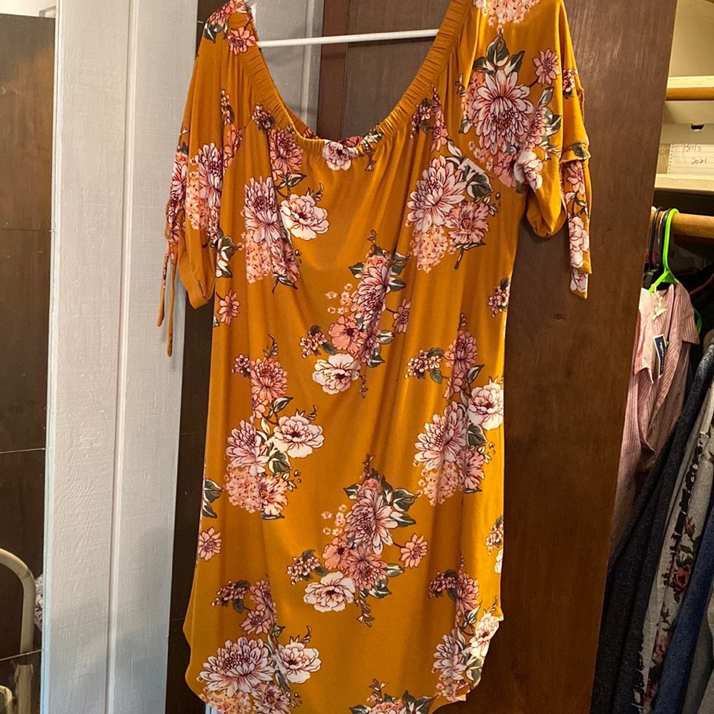 Size 2X top or dress